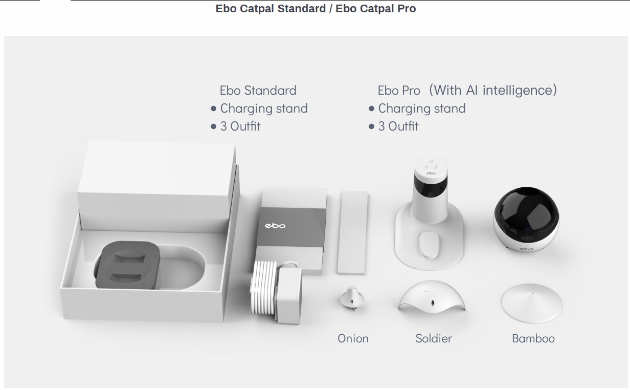 EBO SE Smart Home Robot Compan - Home Security Robots recensione e prezzo