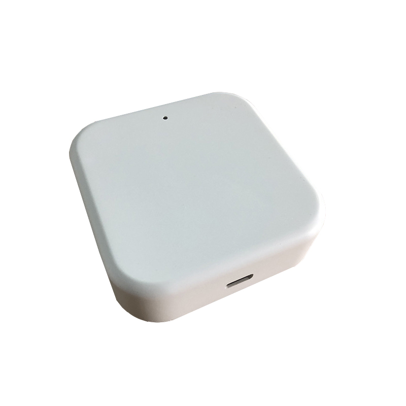 Gateway Smart TTLock G2 WiFi B - Home Security Locks For Doors recensione e prezzo