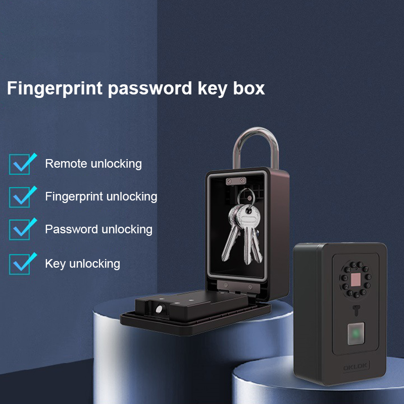 Cassetta di Sicurezza Intellig - Home Security Locks For Doors recensione e prezzo