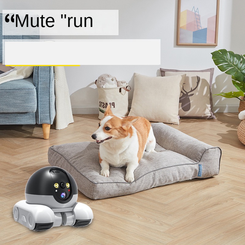 Nuova Telecamera di Sicurezza  - Home Security Robots recensione e prezzo
