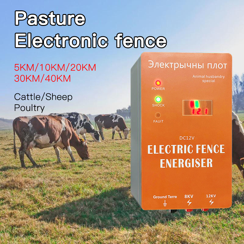 Energizzatore per Recinzione E - Home Security Electric Fence recensione e prezzo
