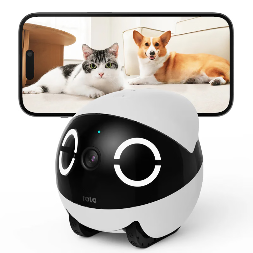 Robot Compagno per Animali Dom - Home Security Robots recensione e prezzo