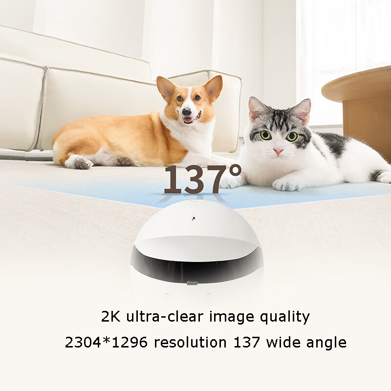 Robot Compagno per Animali Dom - Home Security Robots recensione e prezzo